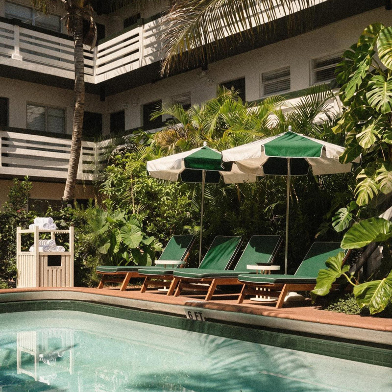 Perroquet Fort Lauderdale