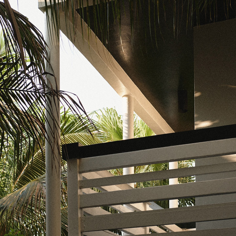 Perroquet Fort Lauderdale