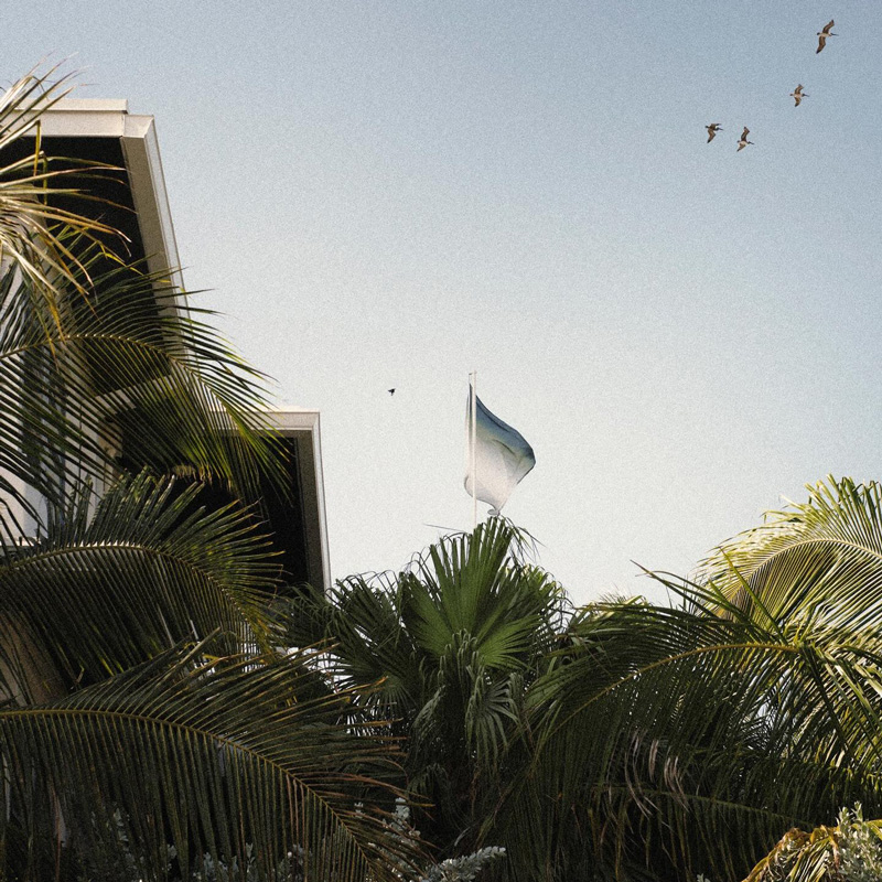 Perroquet Fort Lauderdale