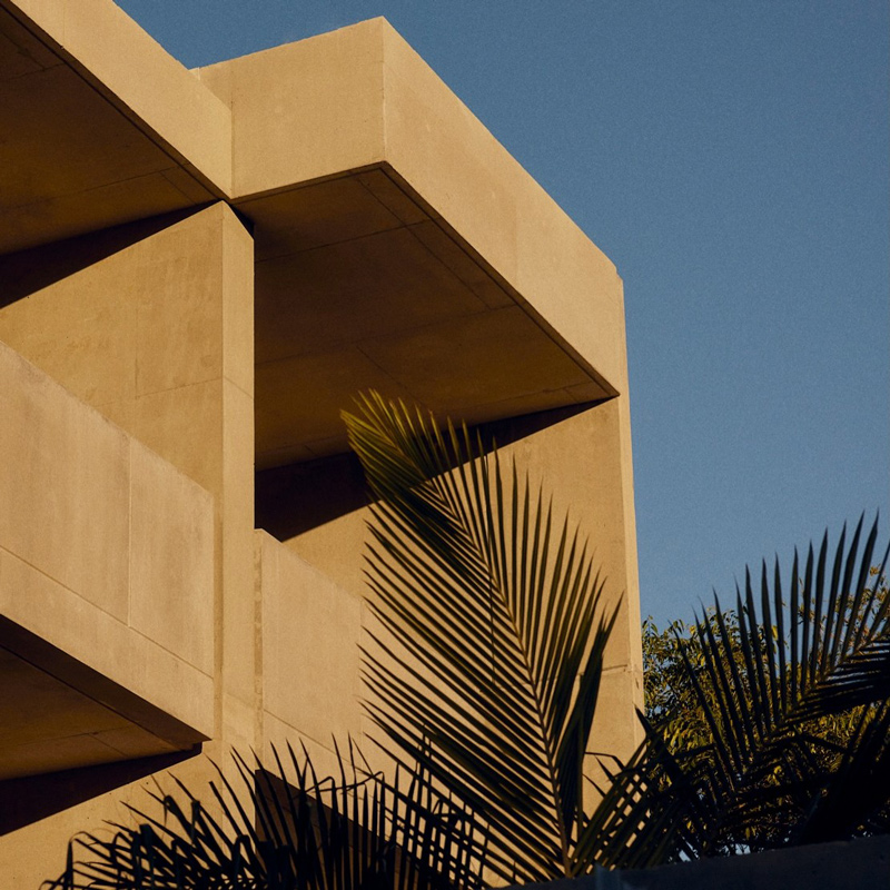 The Bonobo by Raes